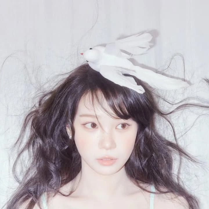 김채원 프로필