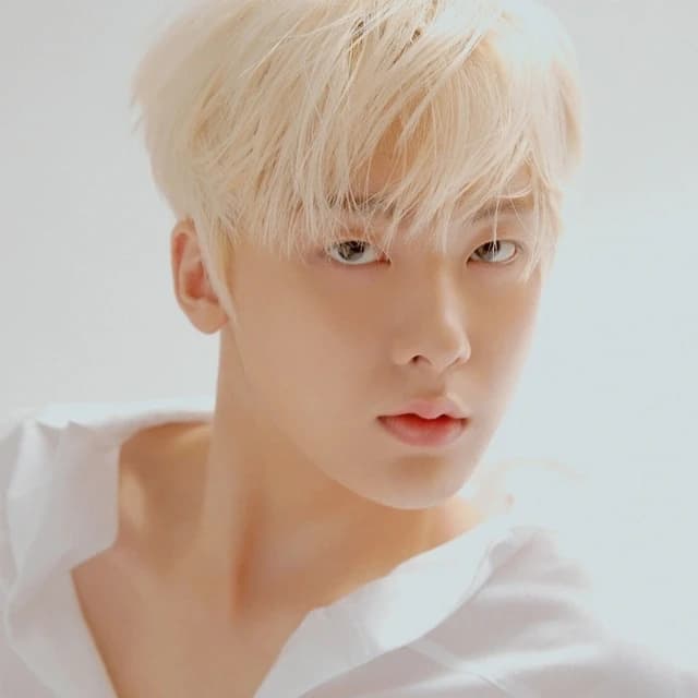 Sanha portrait