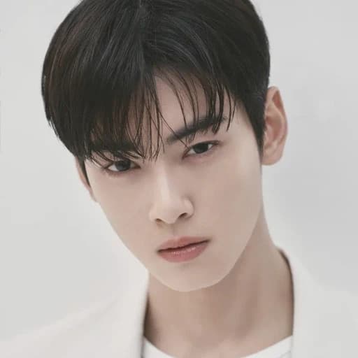 Cha Eunwoo portrait