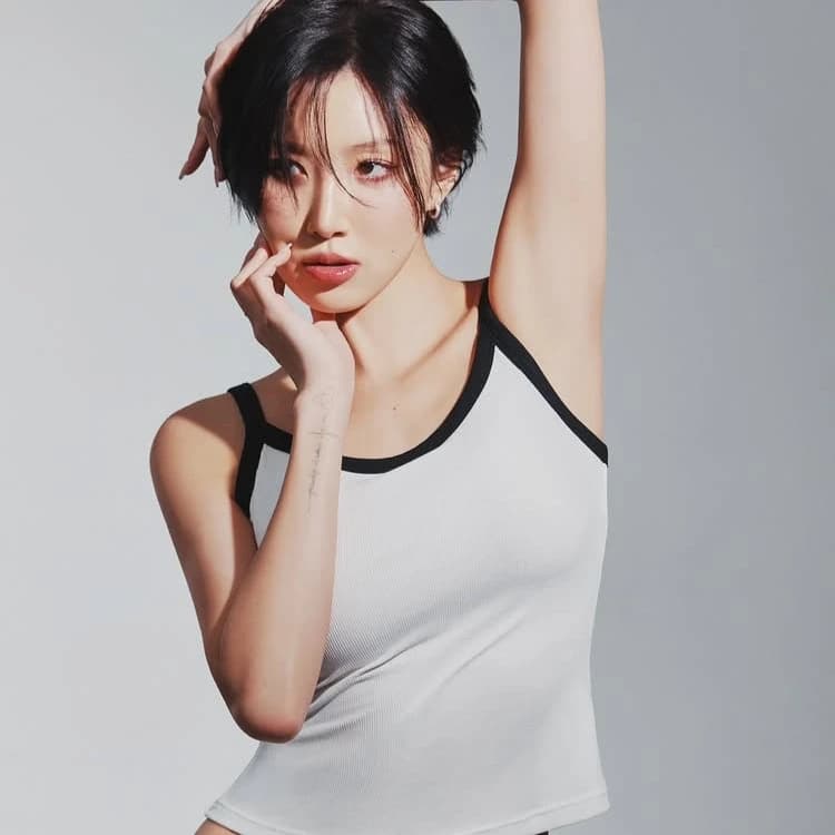 화사 프로필