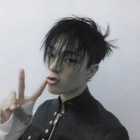 Kim Junmin portrait
