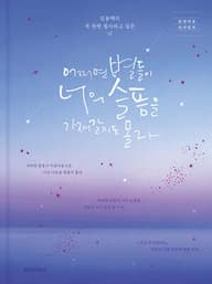 어쩌면 별들이 너의 슬픔을 가져갈지도 몰라 표지