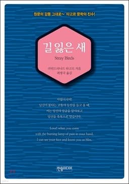 길 잃은 새 표지