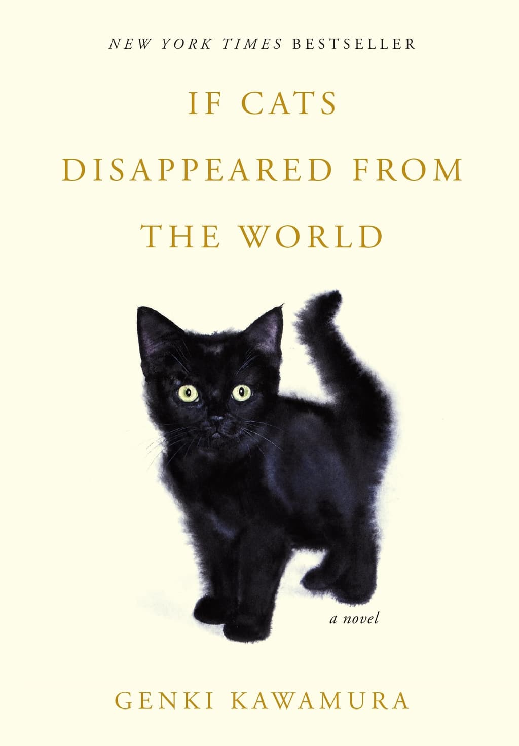 If Cats Disappeared from the World cover