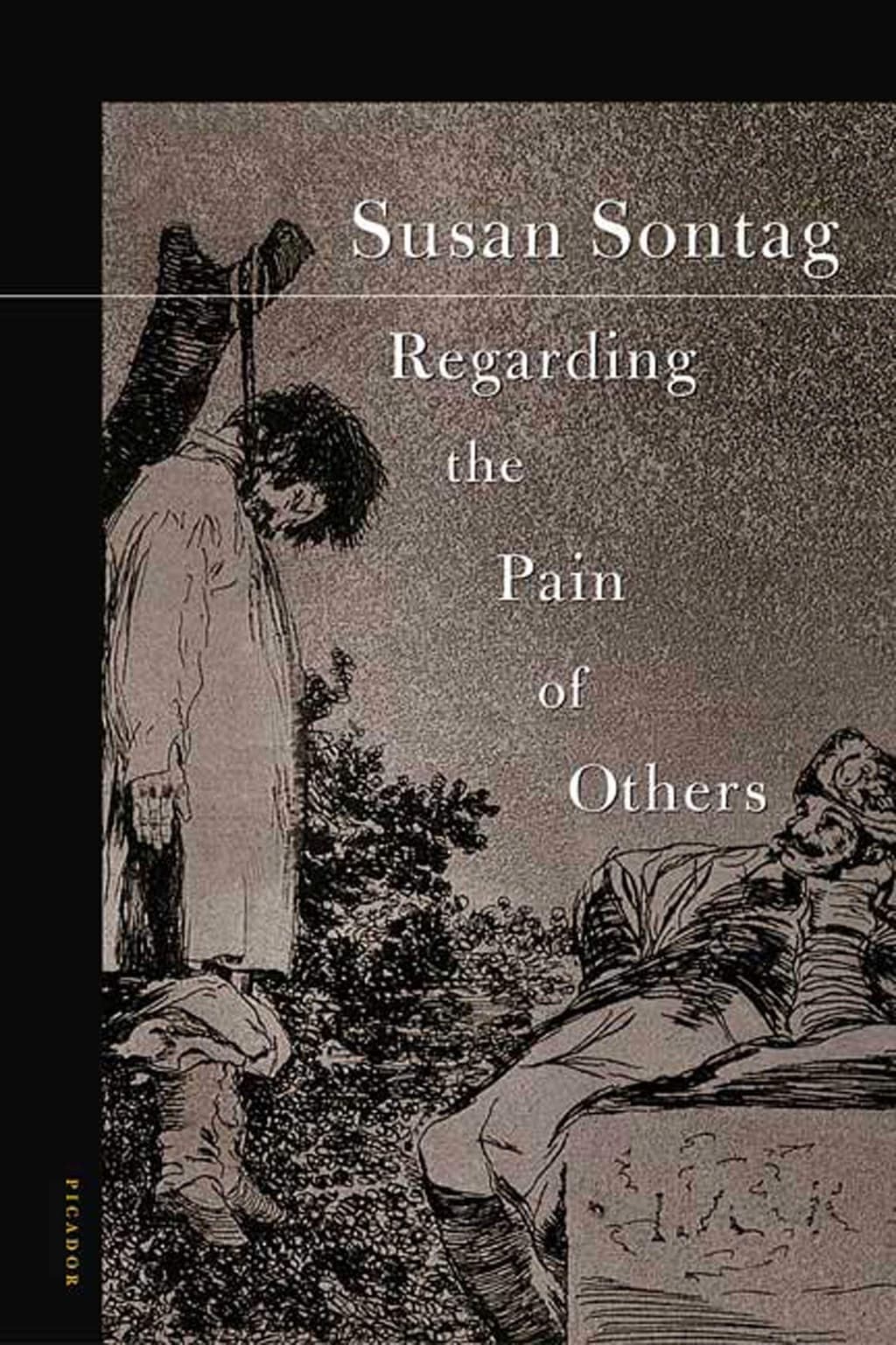 Regarding the Pain of Others cover