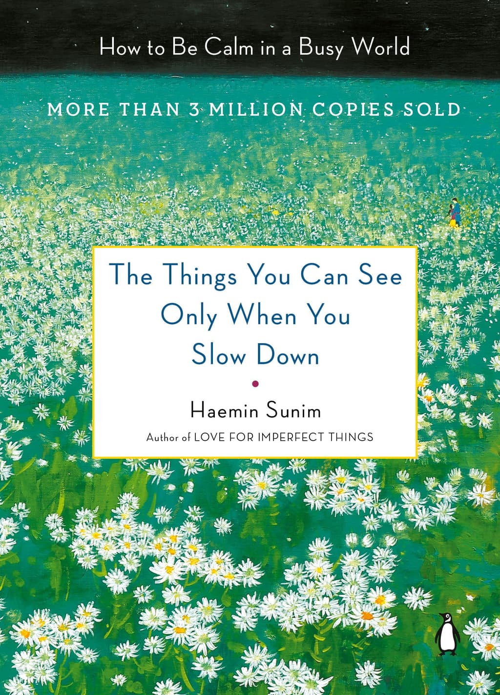 The Things You Can See Only When You Slow Down: How to Be Calm in a Busy World cover