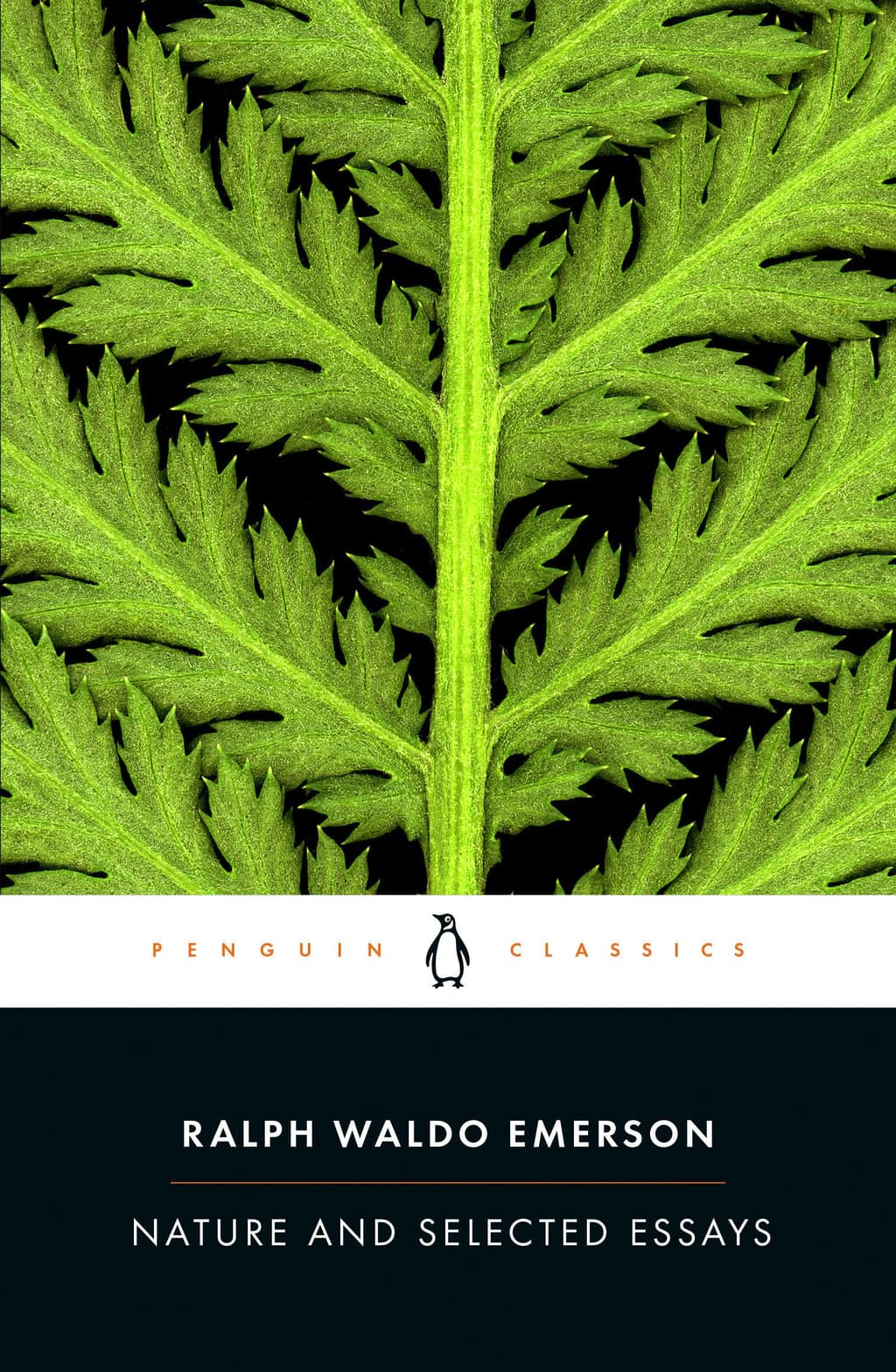 Nature and Selected Essays cover