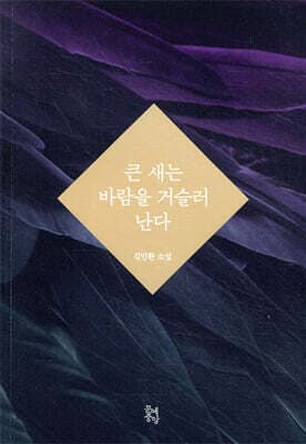 큰 새는 바람을 거슬러 난다 표지