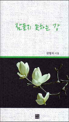 잠들지 못하는 강 표지
