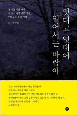 잇대고 잇대어 일어서는 바람아 표지