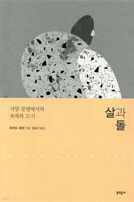 살과 돌 표지