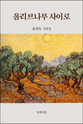 올리브나무 사이로 표지