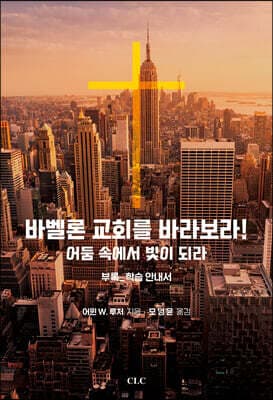 바벨론 교회를 바라보라! 표지