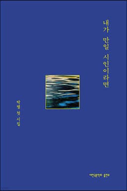 내가 만일 시인이라면 표지