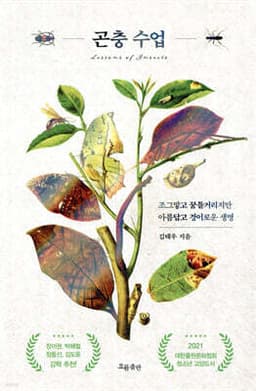 곤충 수업 cover