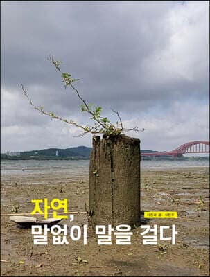 자연, 말없이 말을 걸다 cover
