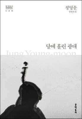 달에 홀린 광대 표지