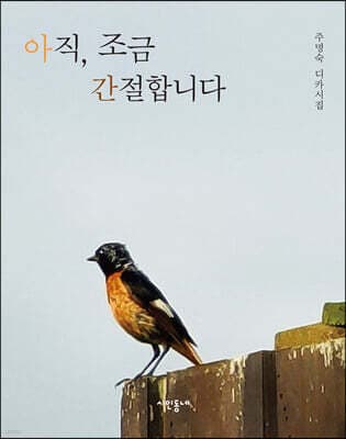 아직, 조금 간절합니다 표지
