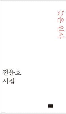 늦은 인사 표지