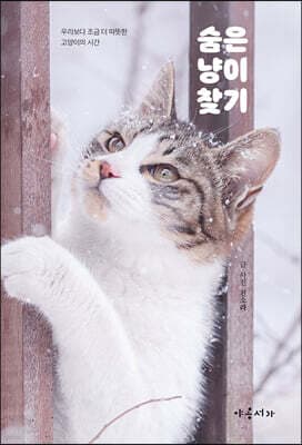 숨은 냥이 찾기 표지