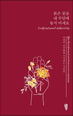 붉은 꽃을 내 무덤에 놓지 마세요 cover