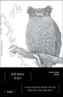동쪽 빙하의 부엉이 표지