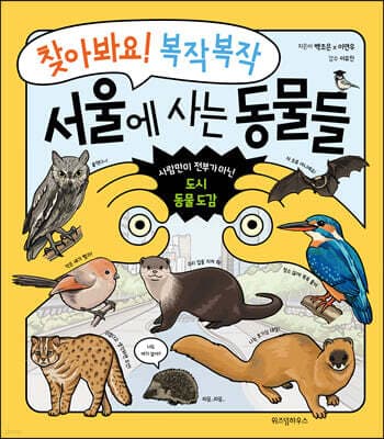 찾아봐요! 복작복작 서울에 사는 동물들 표지