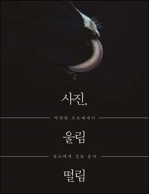 사진, 울림 떨림 표지