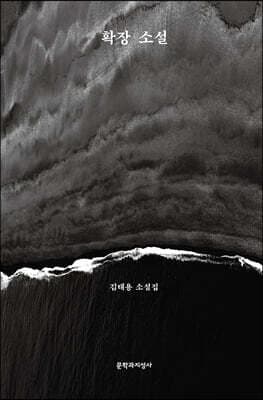 확장 소설 표지
