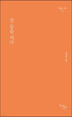감 등을 켜다 cover
