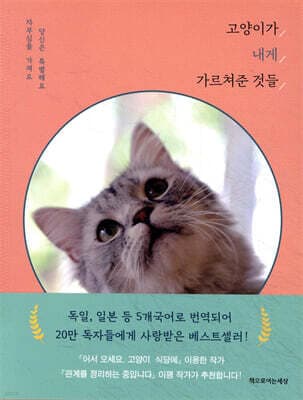 고양이가 내게 가르쳐준 것들 표지