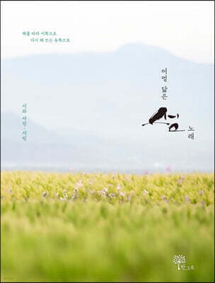 어멍 닮은 섬 노래 표지