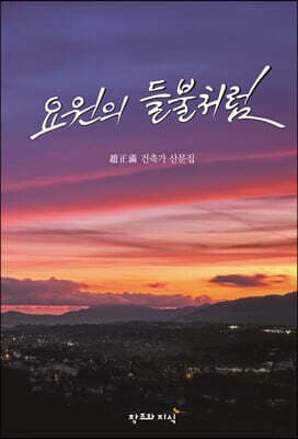 요원의 들불처럼 표지