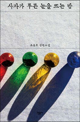 사자가 푸른 눈을 뜨는 밤 표지