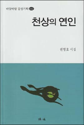 천상의 연인 표지