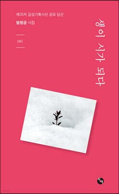 생이 시가 되다 표지