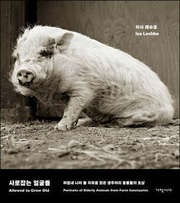 사로잡는 얼굴들 표지