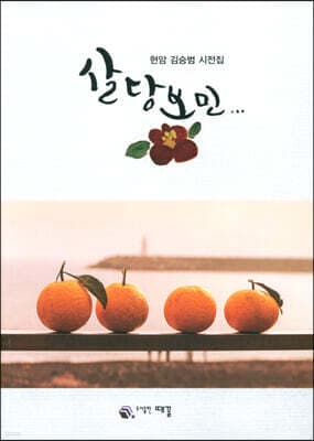 살당보민 표지