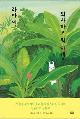 라마 씨, 퇴사하고 뭐 하게? 표지