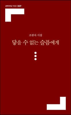 닿을 수 없는 슬픔에게 표지