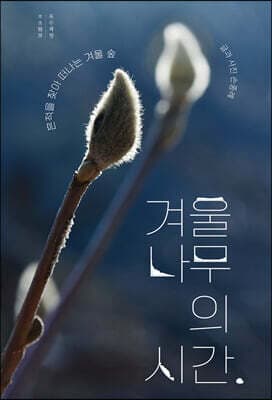 겨울나무의 시간 표지