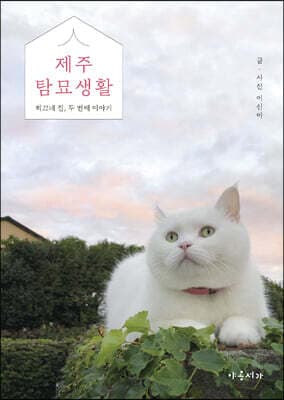 제주탐묘생활 표지
