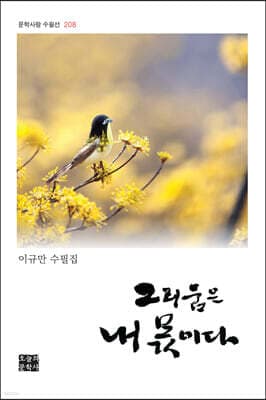 그리움은 내 몫이다 표지