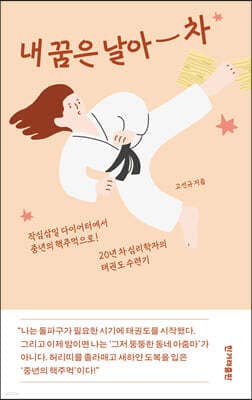 내 꿈은 날아 차 표지