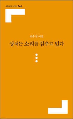 상처는 소리를 감추고 있다 표지