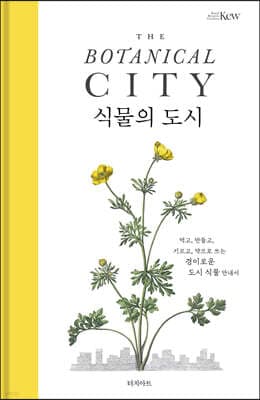 식물의 도시 cover