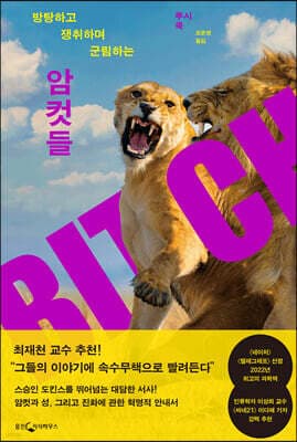 암컷들 cover