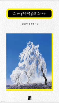 그 여름날 달콤한 소나기 표지