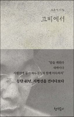 고비에서 표지