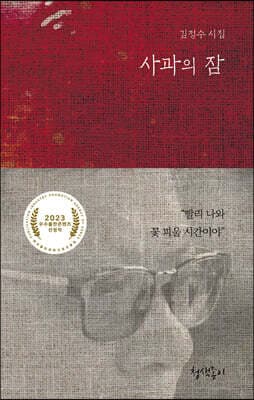 사과의 잠 표지